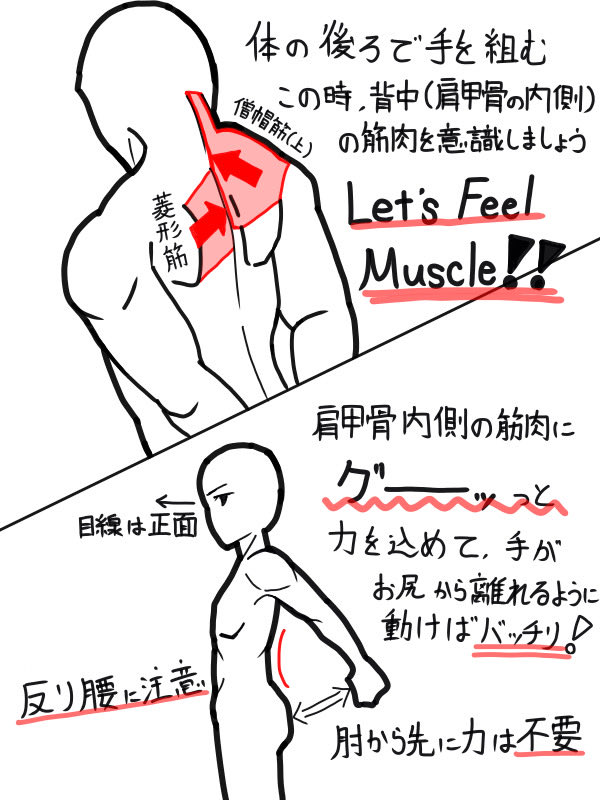 NakayosiHitori's tweet photo. この動き、そもそも肩甲骨の間の柔軟性がないと、肩の関節の前側にかなり負荷がかかってしまいます⚠️
もし『身体の後ろで手を組んだ姿勢が辛い』という方は、背中を含めて肩を動かす練習からのスタートをオススメします！
この動きだけでも、肩周り、脇下などのシルエット改善が期待できますよ✨ https://t.co/jrohydadnv