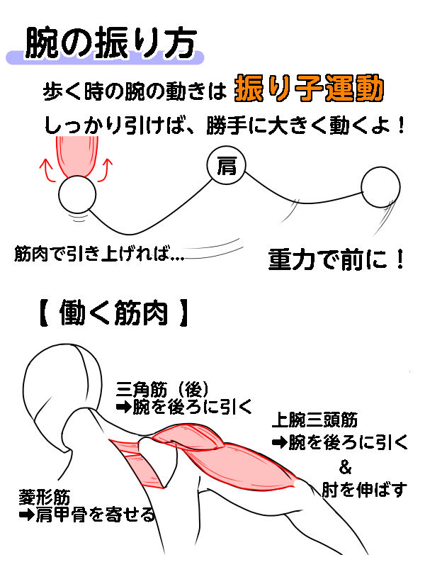 NakayosiHitori's tweet photo. この動き、そもそも肩甲骨の間の柔軟性がないと、肩の関節の前側にかなり負荷がかかってしまいます⚠️
もし『身体の後ろで手を組んだ姿勢が辛い』という方は、背中を含めて肩を動かす練習からのスタートをオススメします！
この動きだけでも、肩周り、脇下などのシルエット改善が期待できますよ✨ https://t.co/jrohydadnv