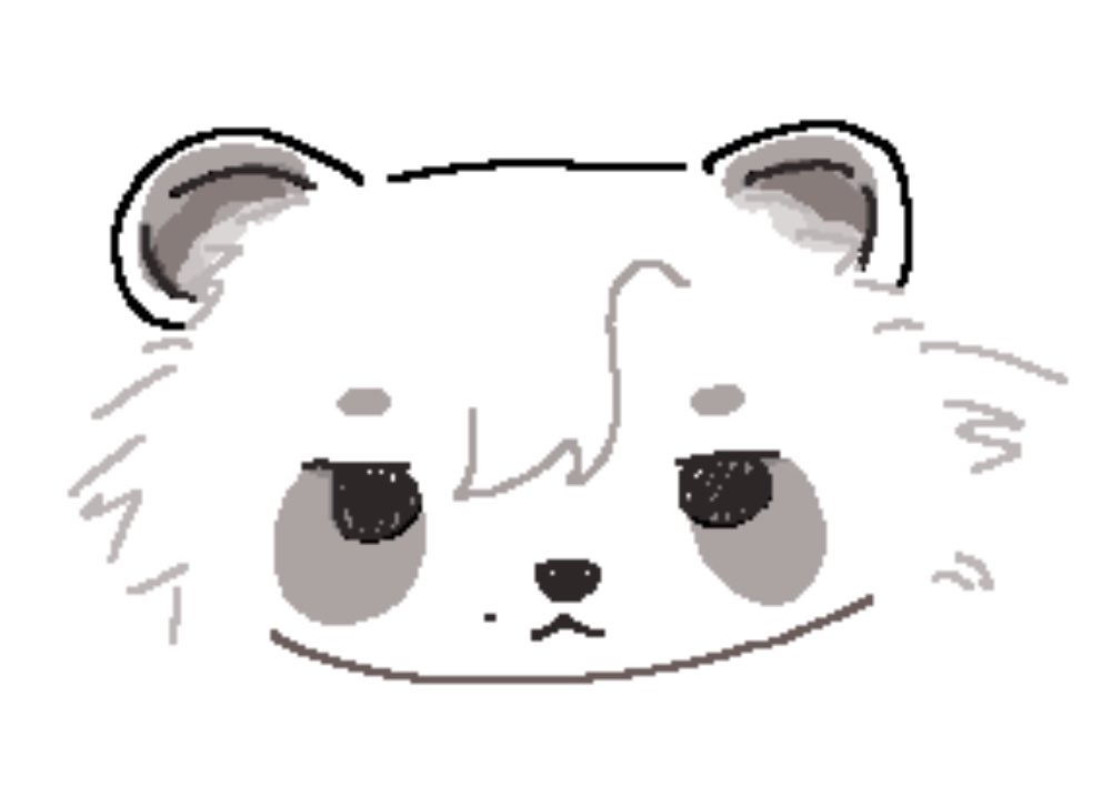I3B1_404's tweet photo. 라쿤의 날이라면서요~~?
라쿤시마~~ https://t.co/1QA07JI6x7