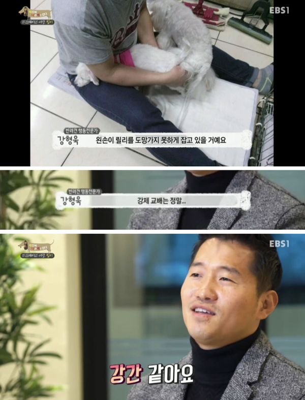 HiHixxx13567's tweet photo. 설마 강제로 교배시키려 한건가... 그거 강간이라고 강형욱이 말함... https://t.co/gxcqsEZC1f