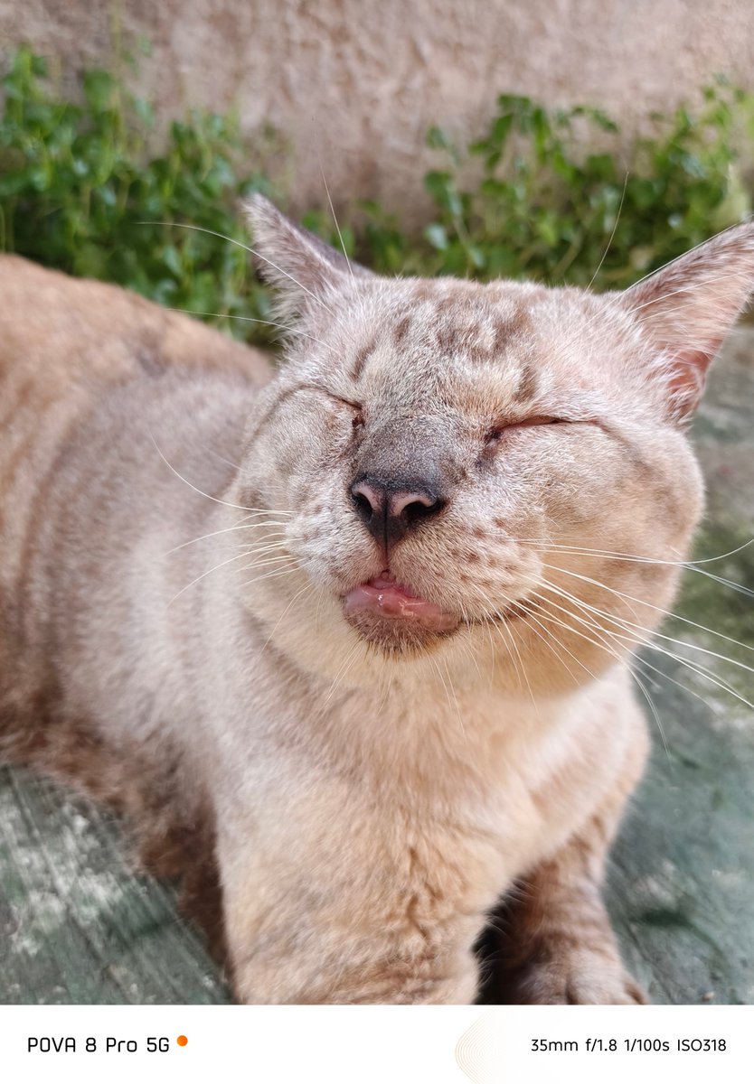 gadgetmatch's tweet photo. #GadgetSnaps | TECNO POVA 8 Pro Tonino Lamborghini Limited Edition
π·: Vincenz Lee
Review π https://t.co/ZU4ua6IqFG https://t.co/gCYnVbrDwV