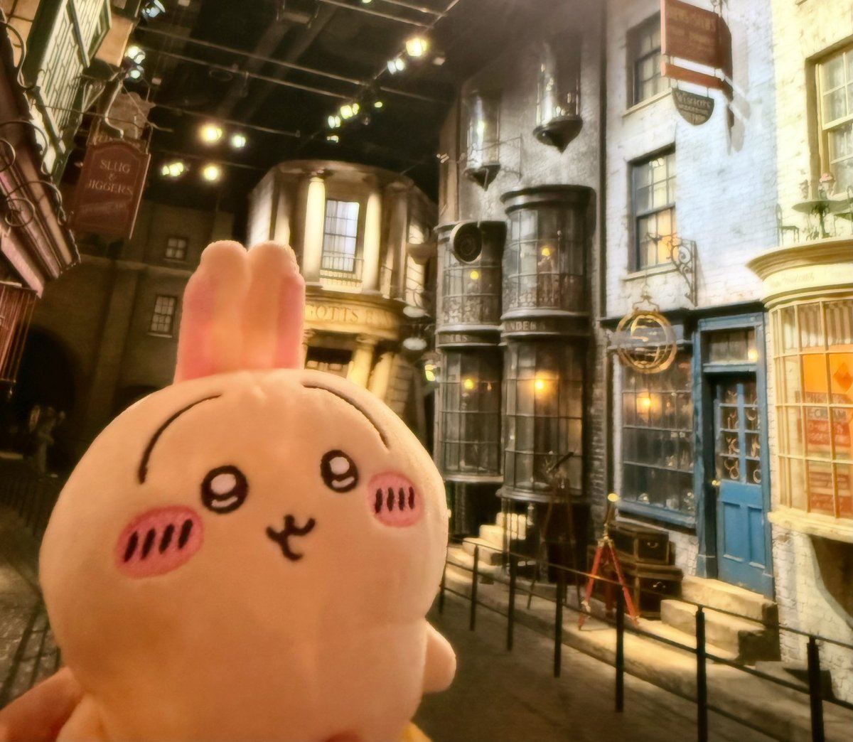 aidarinrin's tweet photo. うさぎとスタジオツアー行って来た🦉
#ハリーポッター
#スタジオツアー https://t.co/JrisrqAnIB
