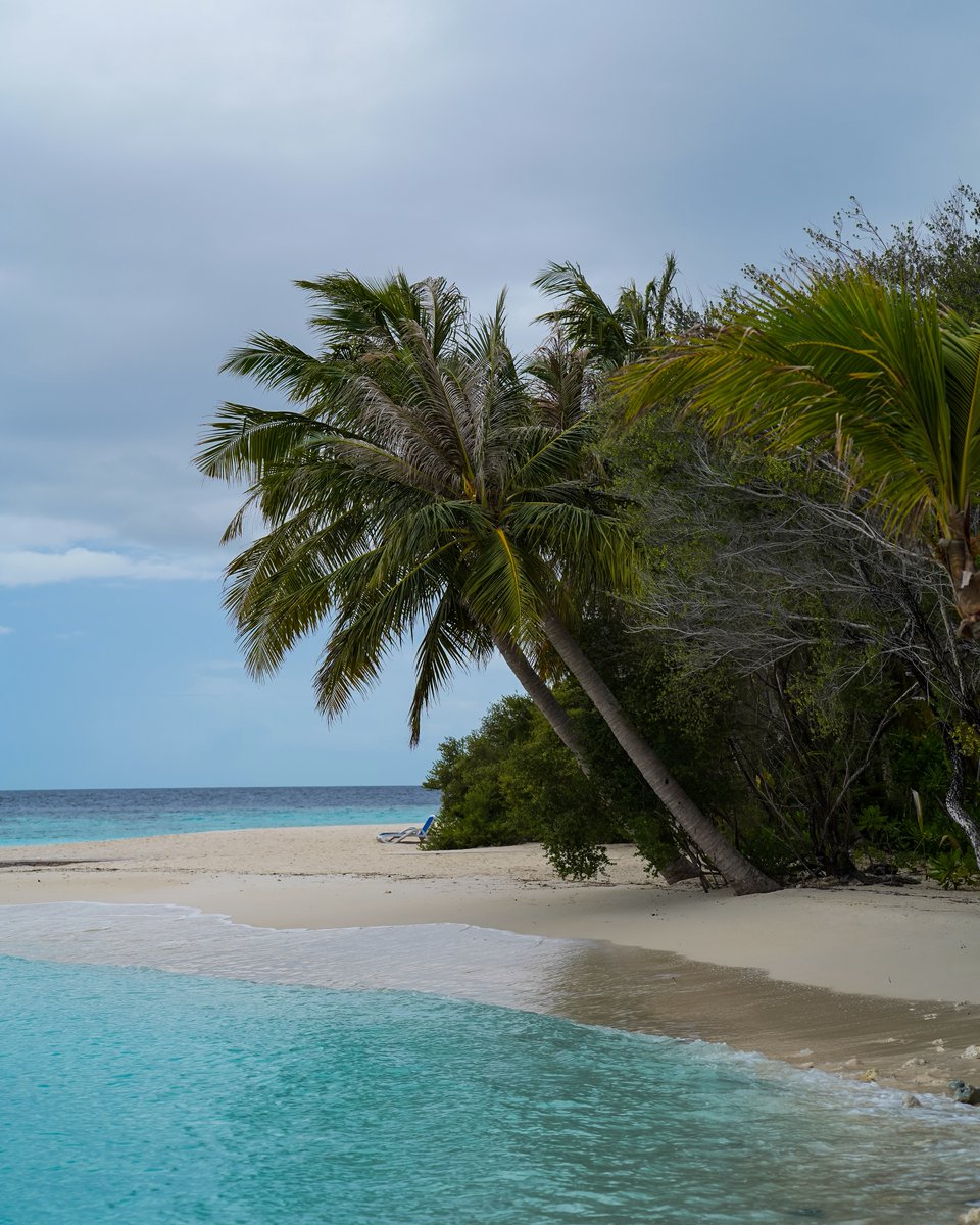 Wahid9's tweet photo. A vanishing paradise. It’s hard to believe the Maldives may disappear by 2100 as sea levels rise. Yet its people face the ocean with calm wisdom—not fighting it, but learning to live in harmony with their only true treasure. https://t.co/EyQkLBsTUM