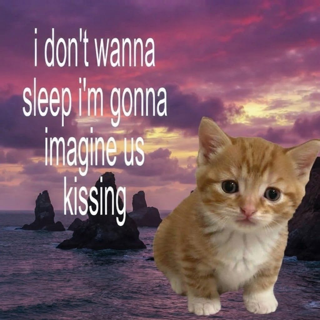 sillymeow4u's tweet photo. https://t.co/J1UA4ezQWb