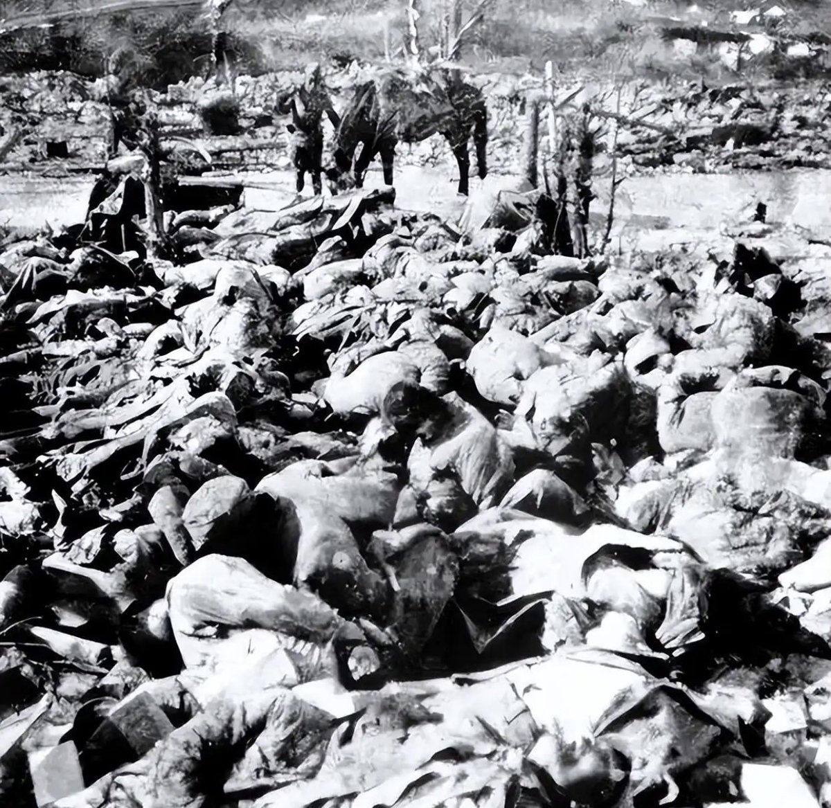 a_bailu's tweet photo. Really? So invading other countries is something to be proud of? Have you people no shame?

It’s pretty obvious that you couldn’t come up with anything meaningful to say, so all you could do was post a video. And that video only proves how badly your brain has deteriorated. Let me refresh your memory about your own history.

By the way, nobody likes Japanese people like you. Americans have no reason to like you either: Japan attacked Pearl Harbor and was later hit with atomic bombs. Koreans don’t like you. North Koreans don’t like you, because Japan invaded their countries. Many people in European countries don’t exactly admire you either, and often speak of Japan’s wartime history with contempt.

Apart from pornography, what exactly do you have to boast about? Even centuries ago, Japan was heavily influenced by China, adopting Chinese characters and learning from Chinese language and culture.

What’s even more pathetic is how dependent Japan is on the United States. You rely on America like a dog relies on its master, while America simply uses Japan for its own strategic interests. Japan has little room to change that relationship without risking its own security and access to American military support.

And your entire country knows one thing very well: although Chinese people value peace, the historical resentment toward Japan has by no means disappeared.

If Japanese militarism ever rises again, the accumulated anger of 1.4 billion Chinese people would be unleashed against Japan. You don’t need to doubt that.

Many Chinese people who remember that history would have no intention of allowing another Japanese war of aggression against China to succeed. If such a war ever happened again, Japan would not be given another opportunity to set foot on Chinese territory