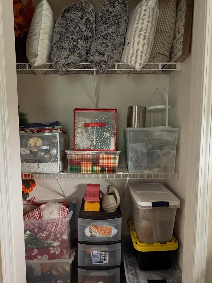 AlanEcko's tweet photo. Limited storage doesn’t mean impossible. By rethinking what goes in bins and on shelves, this client made room for seasonal decor and garden supplies. A positive mindset turned overwhelm into possibility. https://t.co/Zz1zzCfkVi