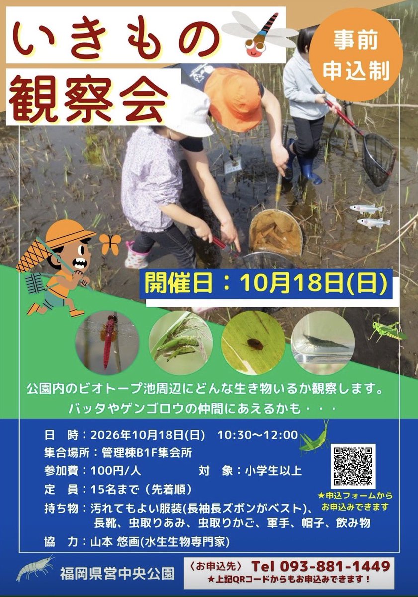 chuoh_park's tweet photo. 【いきもの観察会 参加者募集】
📅10/18(日) 10:30～12:00

中央公園の #湿地帯ビオトープ で、いきもの観察会を行います。ゲンゴロウやトンボなどの水生昆虫から、バッタやカマキリなど陸生昆虫まで！専門家と一緒に楽しく観察します🌱

お気軽にご参加ください！🪲🦗 https://t.co/iTZYye4Wp1
