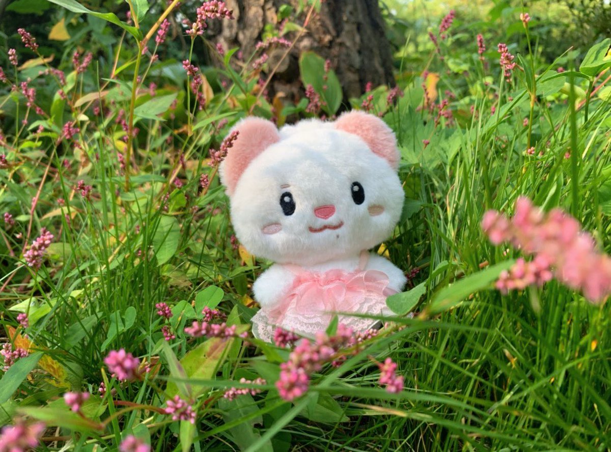 snsnyu's tweet photo. 숲속의 쪽레리나〰️😘🩰💘 https://t.co/RJ2Z9y5b4q