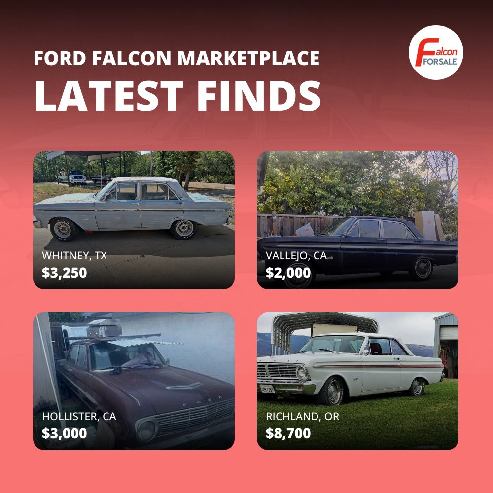 falconforsale's tweet photo. Check out new listings shared daily! Visit https://t.co/of1eeiZ9Ag https://t.co/SzJ6EHxpdj