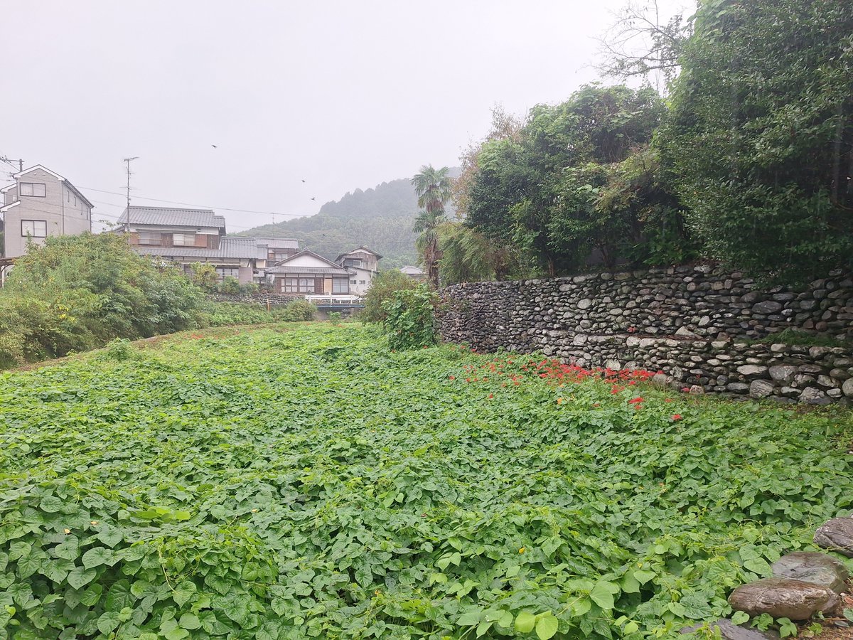 hide08277197's tweet photo. 伊曽乃神社参拝後に徒歩で土居構に行ってきました
中は現在も住んでので入れません https://t.co/Snsd7k42qI