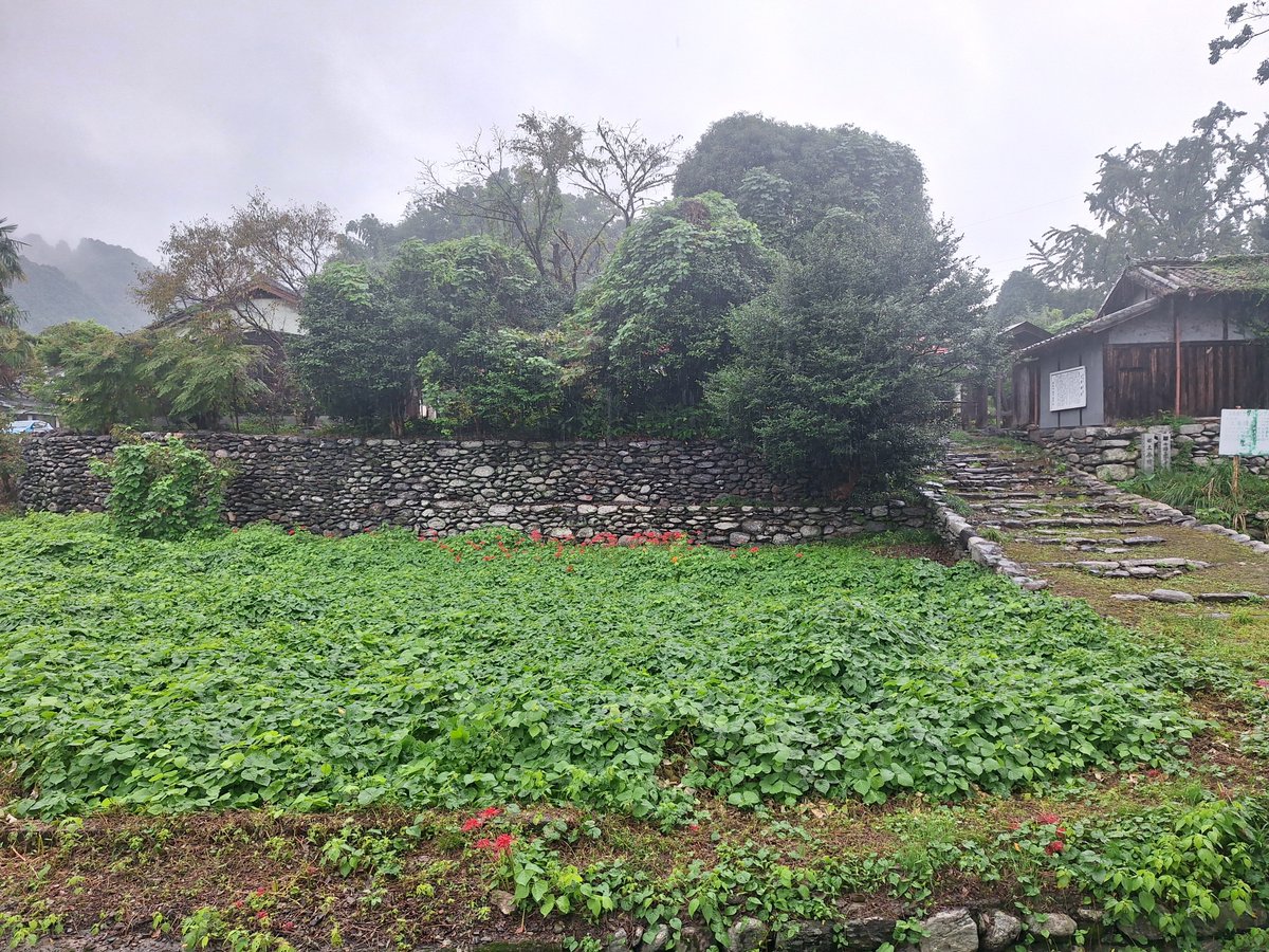 hide08277197's tweet photo. 伊曽乃神社参拝後に徒歩で土居構に行ってきました
中は現在も住んでので入れません https://t.co/Snsd7k42qI