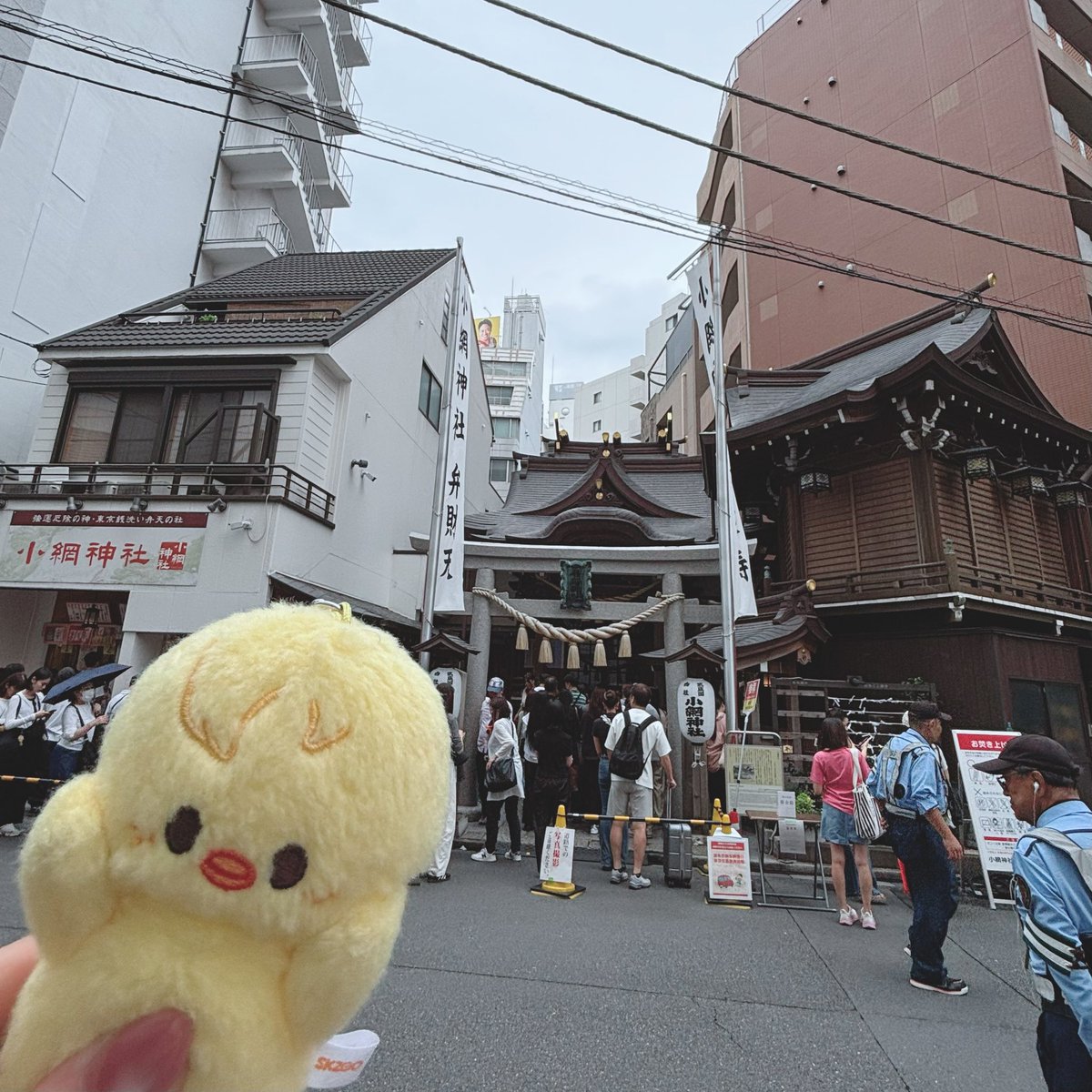 mamicomamico324's tweet photo. アプグレ当たりますように🐥🐶🍀 https://t.co/GJodZISpFv