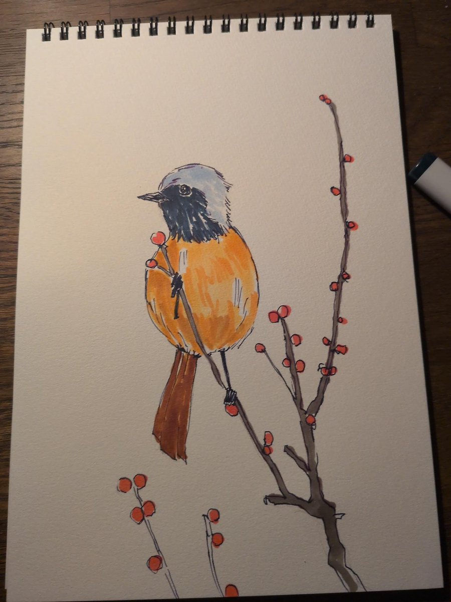 some0503's tweet photo. 写真集を見ながら鳥を描いている。
鳥がなんとなくわかってきたような…。 https://t.co/TH9yFx3FYf