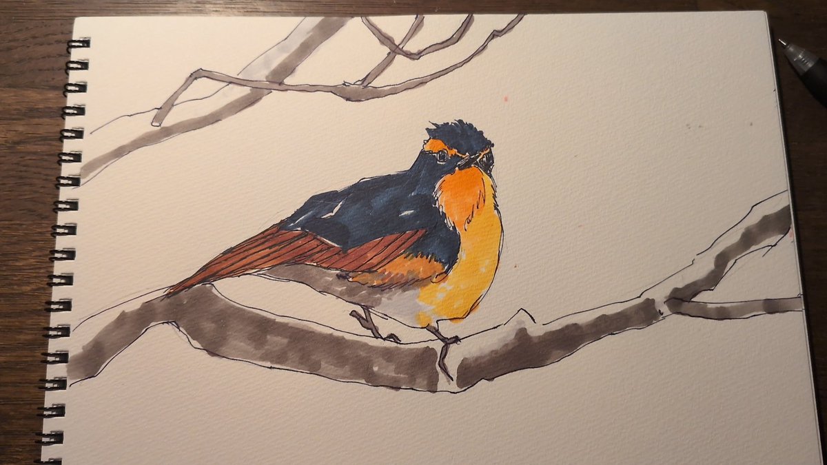 some0503's tweet photo. 写真集を見ながら鳥を描いている。
鳥がなんとなくわかってきたような…。 https://t.co/TH9yFx3FYf
