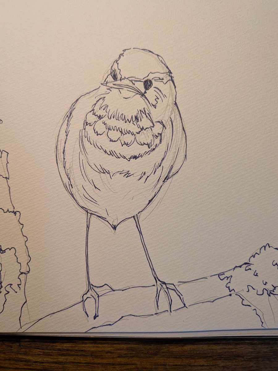 some0503's tweet photo. 写真集を見ながら鳥を描いている。
鳥がなんとなくわかってきたような…。 https://t.co/TH9yFx3FYf