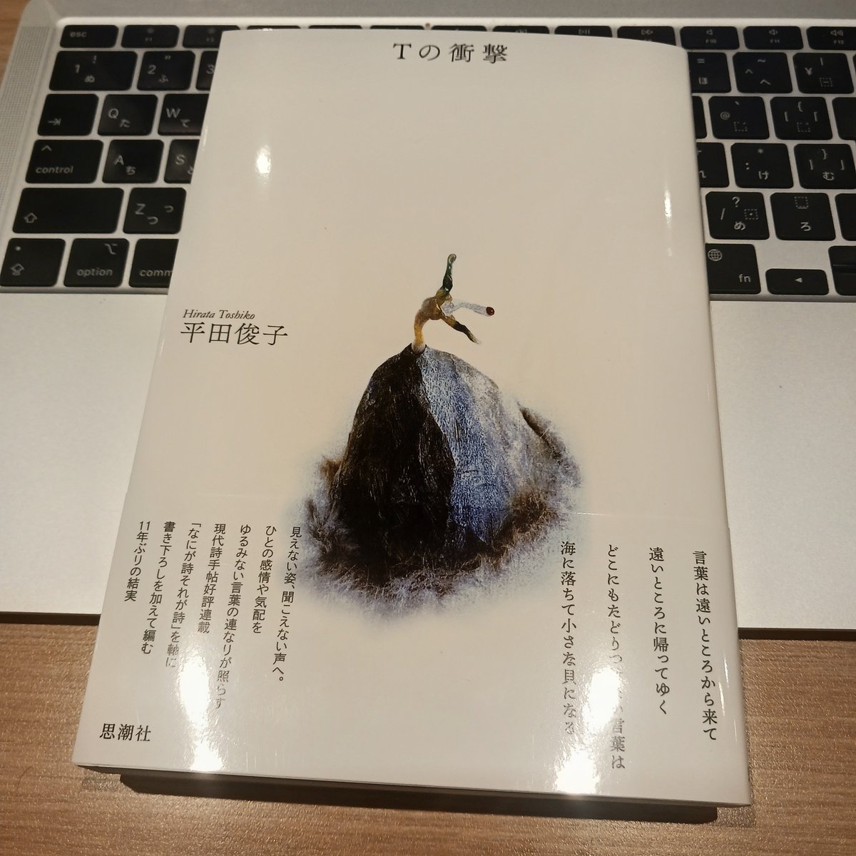 lyttoral's tweet photo. ゆってぃのネタを「強烈ぅ」ではなく「衝撃ぃ」だと思い込んでおり、「ゆってぃの衝撃ぃの『Tの衝撃』の部分」とツイートしそうになった。 https://t.co/F3s2FkvXOi