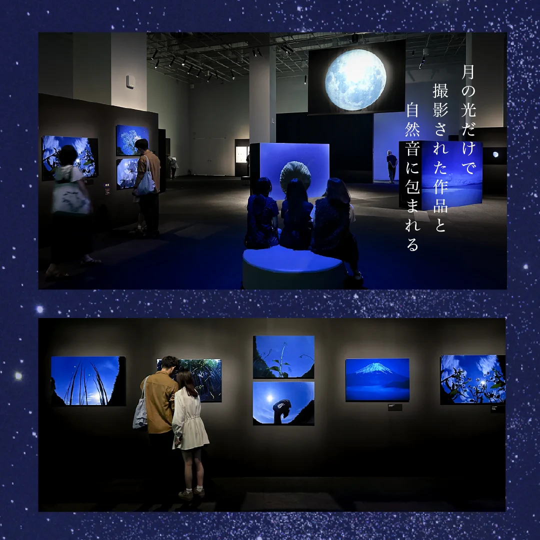 福岡 市 科学 館