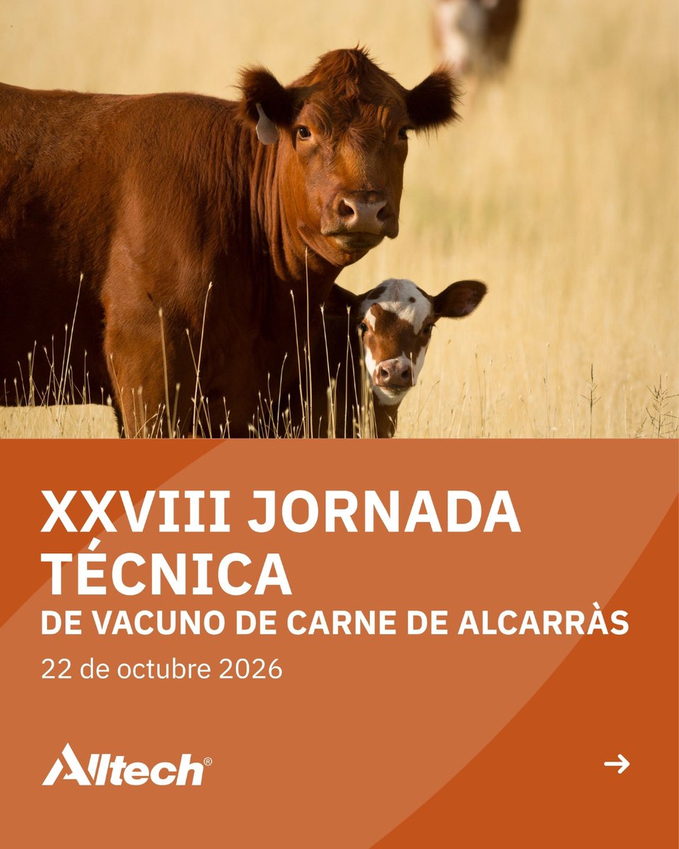 AlltechSpain's tweet photo. 📅 Octubre llega cargado de encuentros para Alltech Spain.
Este mes estaremos presentes en:
📍 Nordic Pet Forum
📍 XXVIII Jornada de Alcarràs
📍 Foro Nacional Caprino
Una oportunidad para seguir cerca del sector, compartir conocimiento y conectar con profesionales y productores. https://t.co/htajwgTvZ3