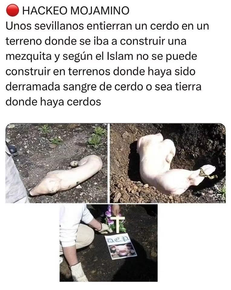 EduardoBr77's tweet photo. Maravilloso https://t.co/6UcdyNyfDu
