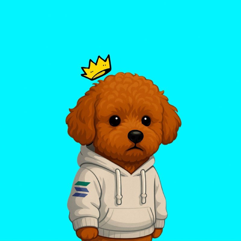 charly1q7l's tweet photo. @Booksey You thought $MEELO was done? 😂Not even close. Girlfriend is coming soon be ready to be involved early 

Stay tuned and get ready https://t.co/4YrNXr7hDt