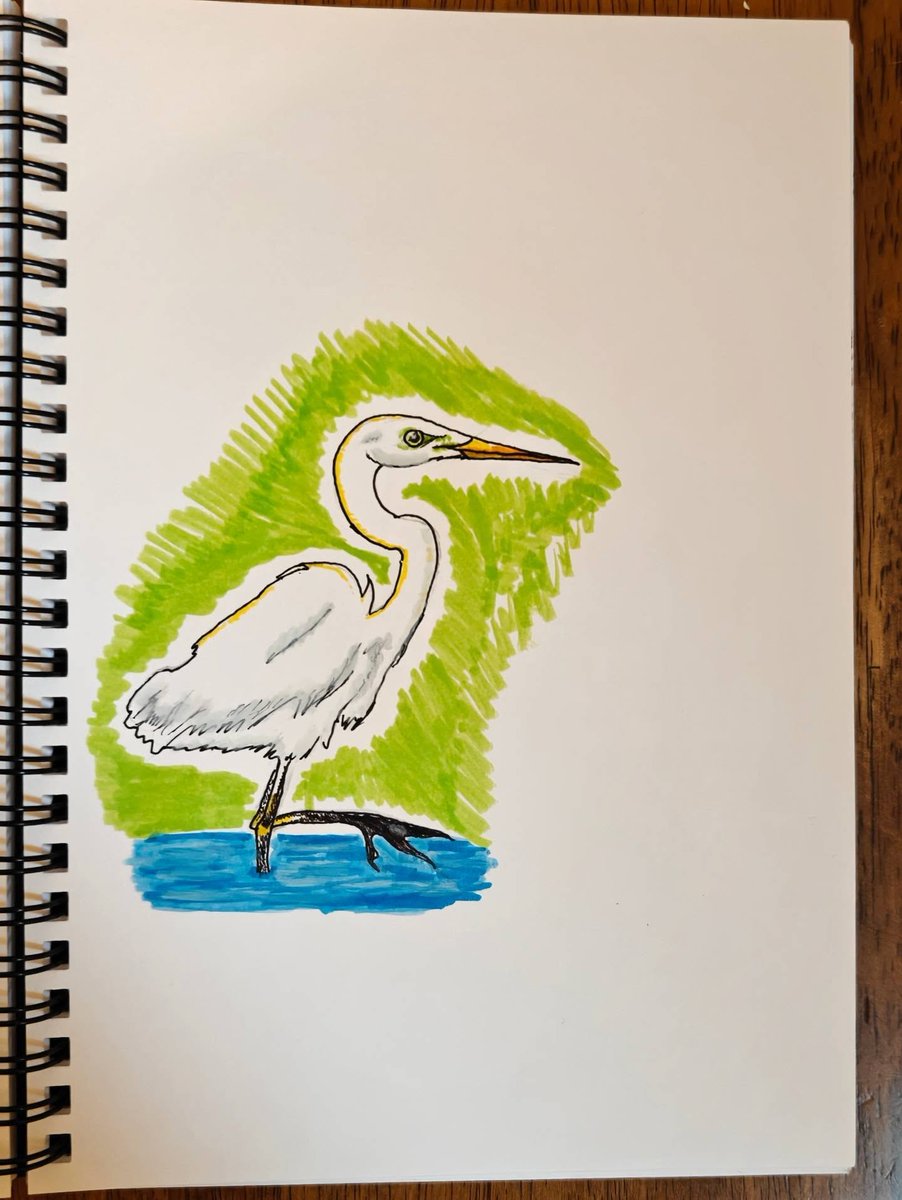 DBabsy's tweet photo. Photo by Arttu Nieminen on August 30, 2026. May be an image of a seabird, heron, sketch, and text. https://t.co/7t5hnLRPeU