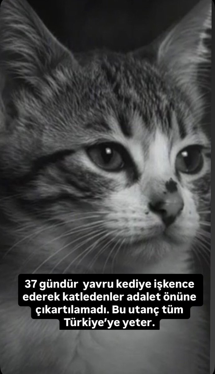 TenzilePars's tweet photo. 37. günde UNUTMADIK. 

Bu utanç tüm Türkiye’ye yeter. 
MİNİĞİ UNUTMA 
#minikiçinadalet https://t.co/2f4zMjd1OL