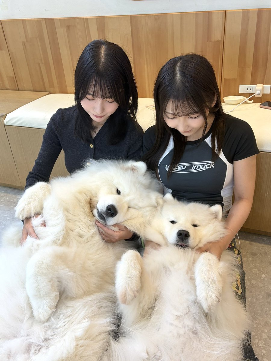 okuyui515's tweet photo. ニンマリ♡( ◜𖥦◝) https://t.co/zy4Cmgulb0
