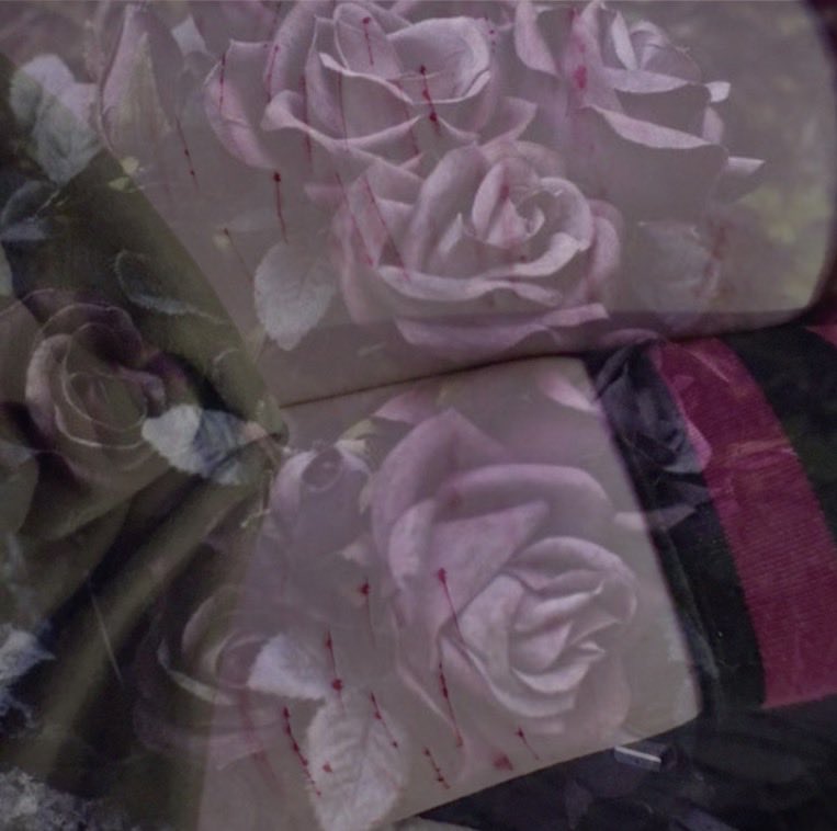 _s1lenc3d's tweet photo. Such pretty flowers 💜

#sfx #shedrtwt https://t.co/OqZntFeF3m