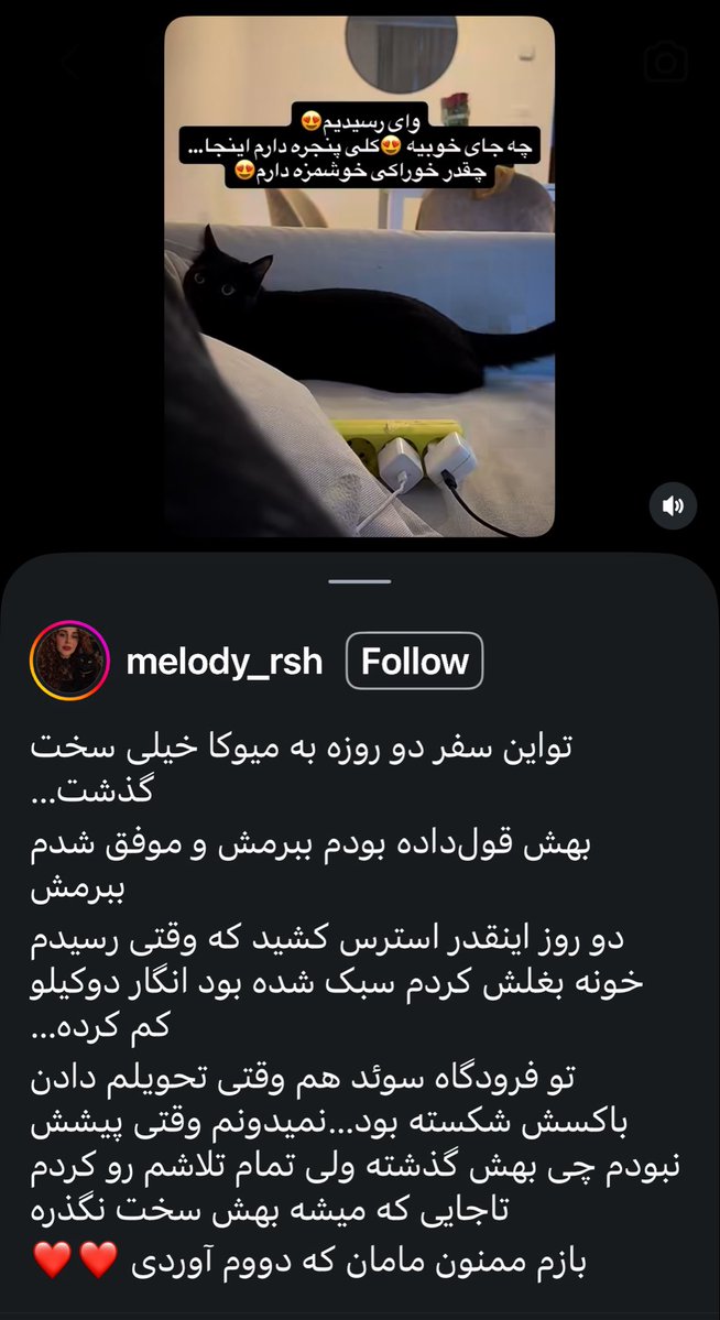 callmiiran's tweet photo. ببینین رفقا سرپرست مسئول یعنی کسی که اگه مهاجرت میکنه پتشم ببره، نه که رهاش کنه، آواره‌ش کنه
اونام مثل ما احساسات دارن، میترسن، اضطراب میگیرن، دل‌تنگ میشن. انسان باشیم، رهاشون نکنیم. https://t.co/FNJsAhMGP6