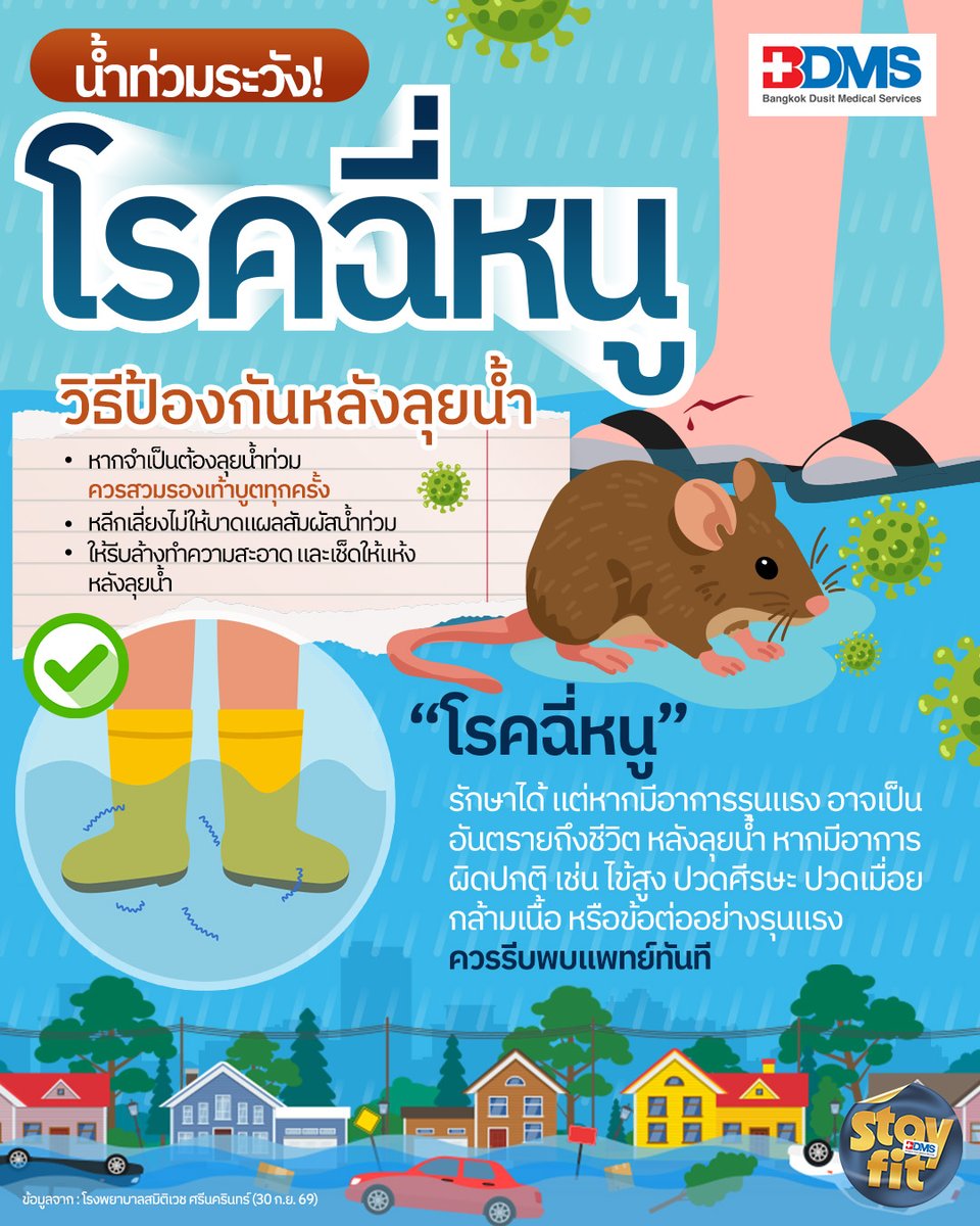 PPTVHD36's tweet photo. "โรคฉี่หนู" อันตรายที่มาหลังลุยน้ำท่วมหรือย่ำโคลน เช็กอาการไข้สูง ปวดศีรษะ ปวดกล้ามเนื้อ ตาแดง ตัวเหลือง หากผิดปกติรีบพบแพทย์ เปิดวิธีป้องกันและรักษา
.
อ่านต่อ : https://t.co/n6jDqSfnrq
.
#โรคฉี่หนู #โรงพยาบาลกรุงเทพสำนักงานใหญ่ #BDMS #yourtrustedhealthcarenetwork #เรื่องสุขภาพเราเชี่ยวชาญ #HealthBringsWealth #สุขภาพดีคือสมบัติที่ล้ำค่า #StayFitbyBDMS