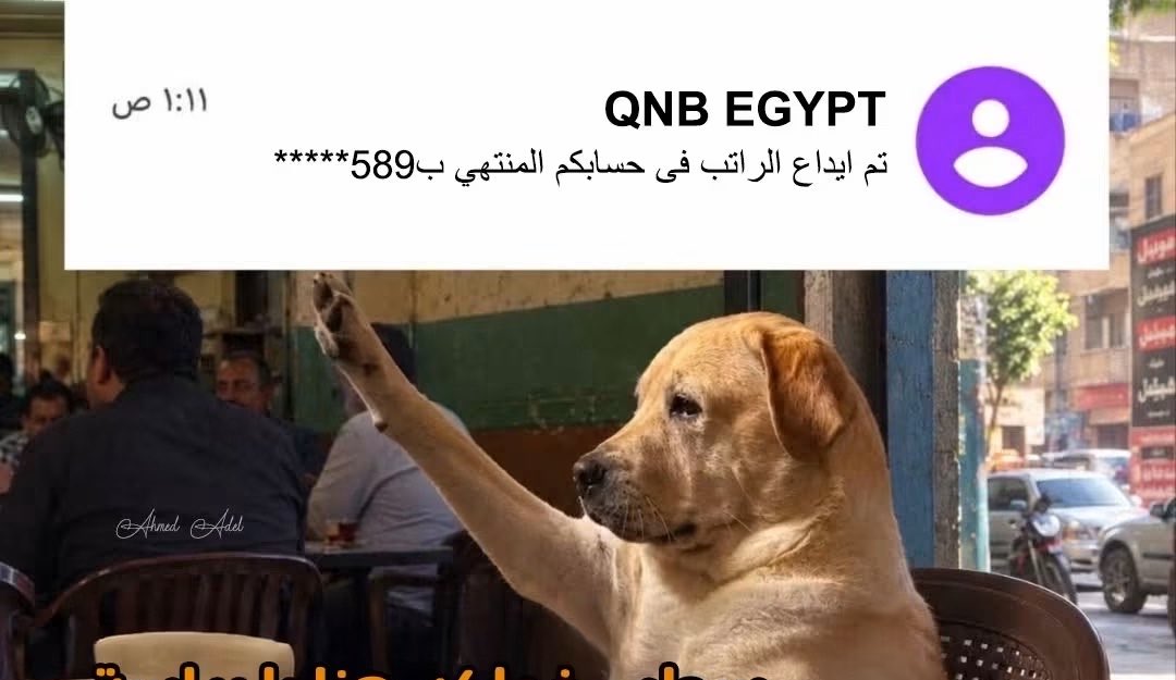 Thisisseyam's tweet photo. بنزين 95 اول تكه https://t.co/Wptryw6q1d