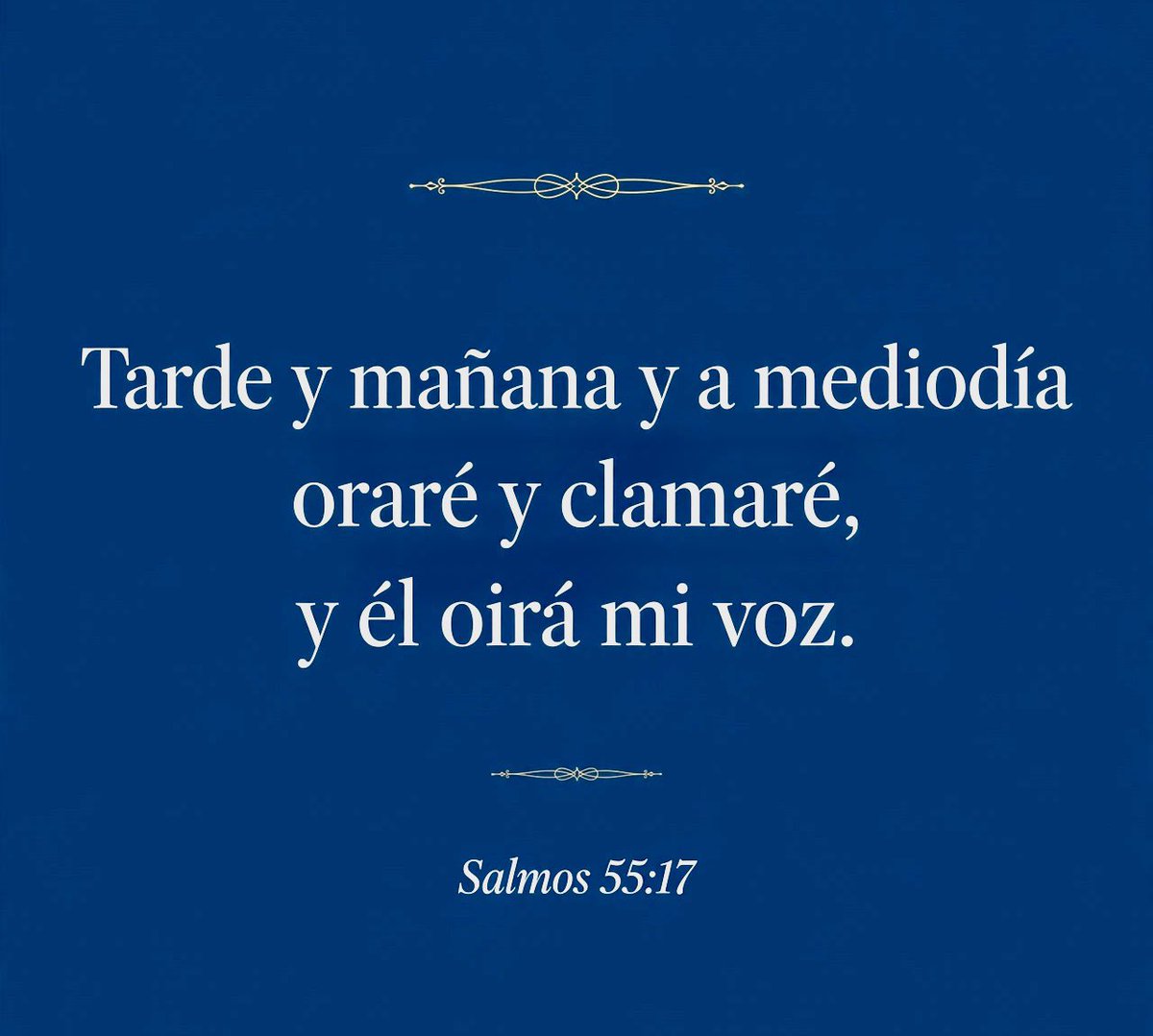 juansaldanaleon's tweet photo. Salm.55  Tarde y mañana y a mediodía oraré: La fe y la fortaleza de David estuvo basaba en una comunión constante. Dios no busca oraciones perfectas, busca corazones sinceros y perseverantes #rpsp #APSur https://t.co/LkeSXClnYP