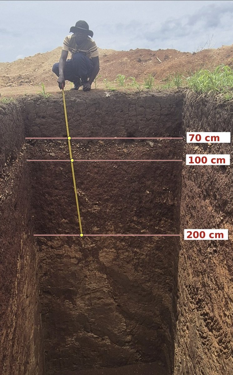 franpodenzo's tweet photo. Empezamos el Asili Farms Tour en Uganda Africa
Este es un tipico suelo agricola en Uganda. El murram (horizonte con piedras) suele estar entre 40 y 100 cm. https://t.co/yuQqxNYLzD