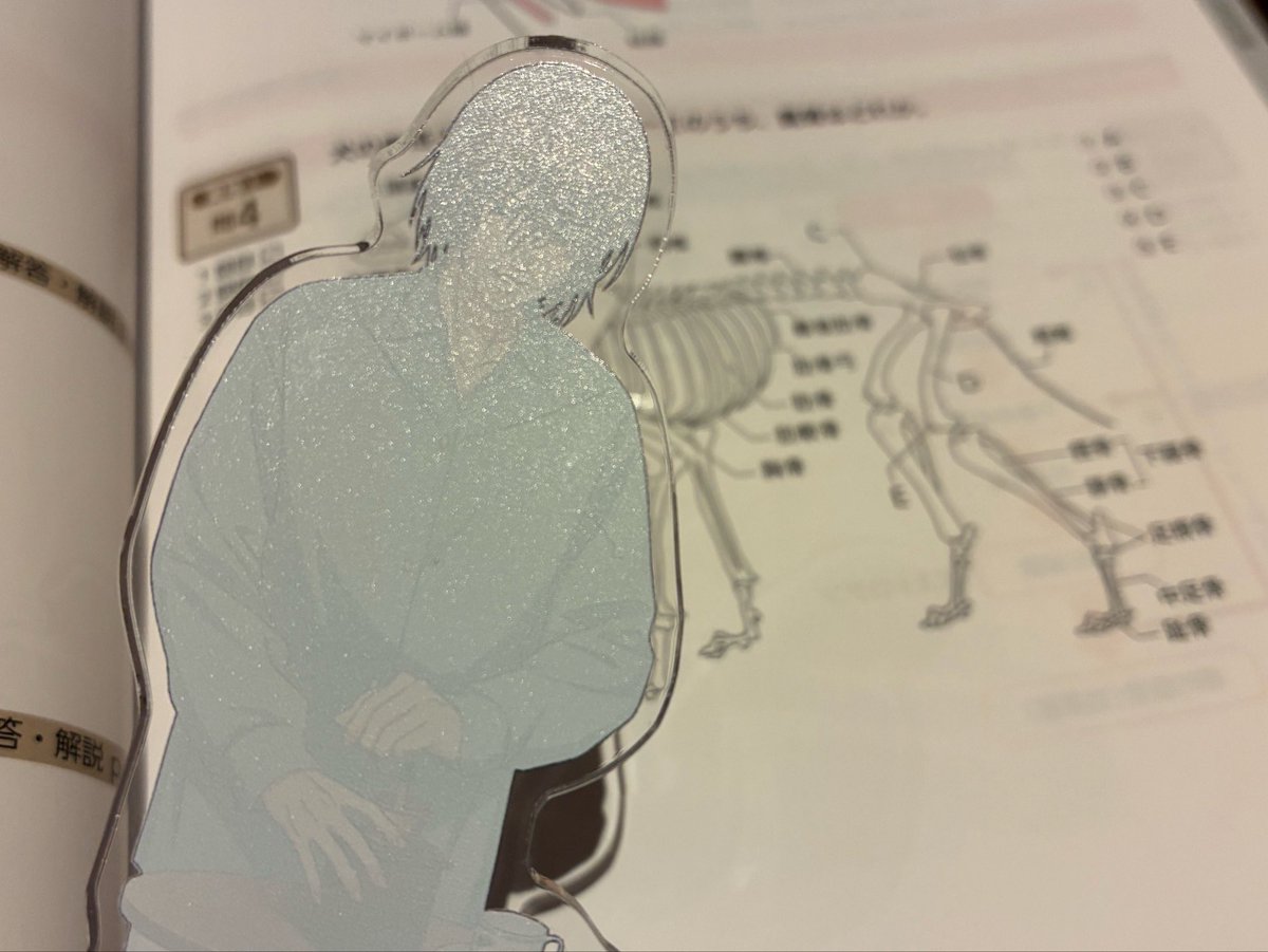 kanioishiii_'s tweet photo. いつも勉強を見守ってくれるお礼に犬の骨をみせてあげるよ。 https://t.co/4UZp77r4KZ