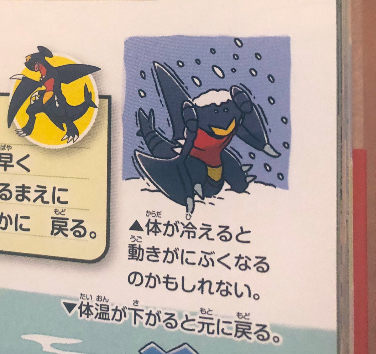 akira__foster's tweet photo. 気象現象としての雪も苦手そうです
(『ポケモン生態図鑑』より) https://t.co/h1twL2vaCz