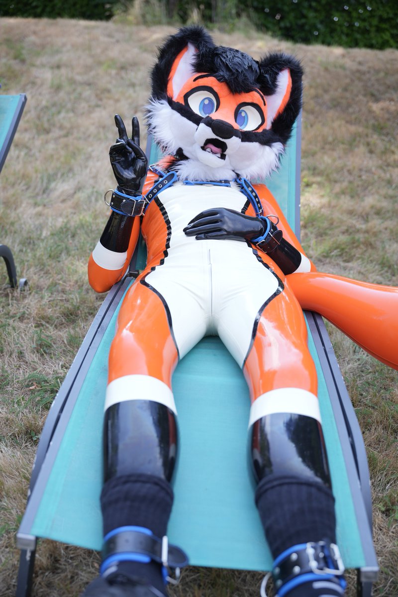 AjihoFoxNSFW's tweet photo. Chill 'n' latex!

📸: @Ad_Etramez
#latexfur #latex https://t.co/cH7Sm72tIh