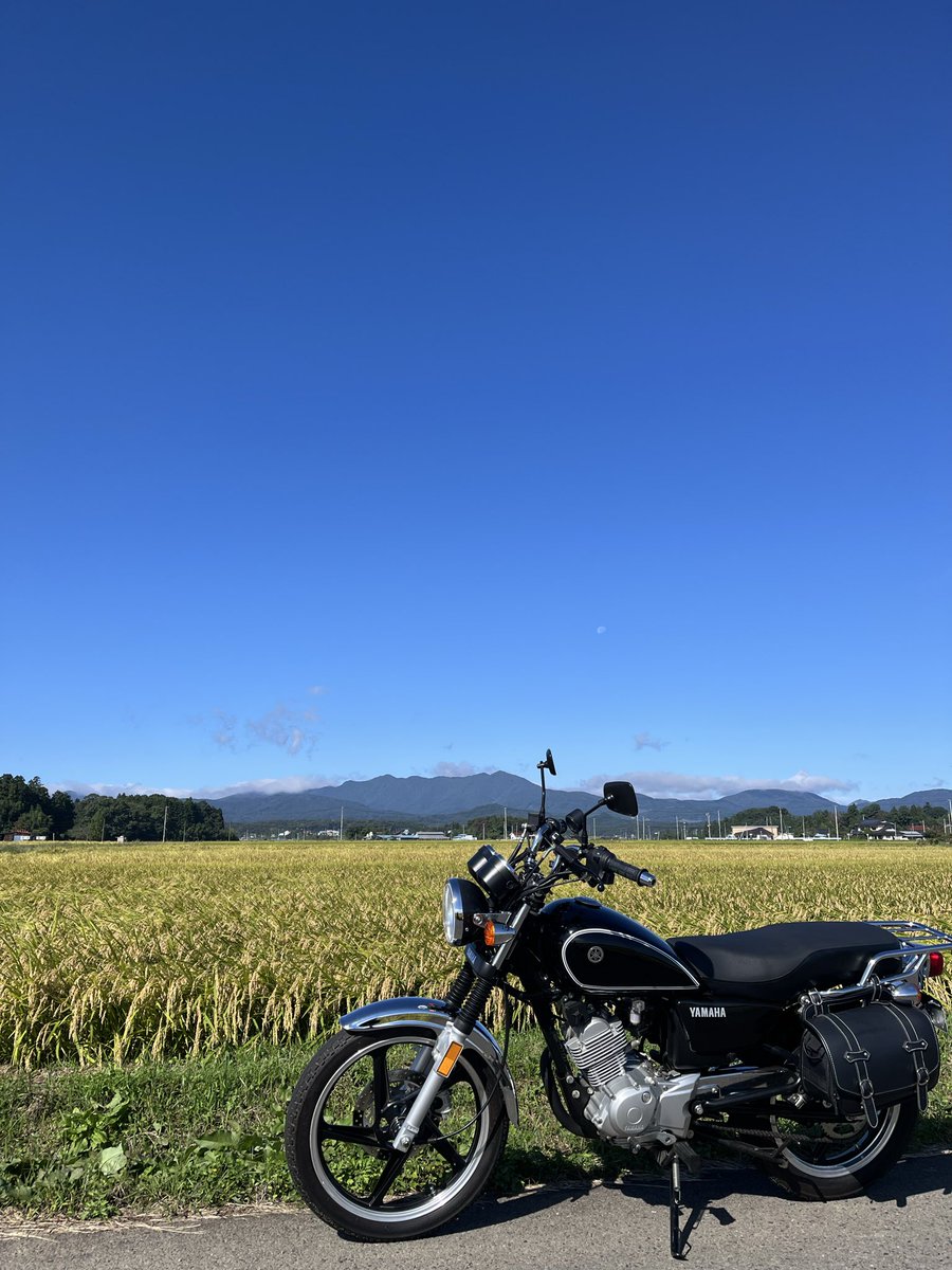 2001Monatanuki's tweet photo. 秋晴れですなー🍁🍂

 #やっと晴れ☀️ https://t.co/ywrOc1zq6w