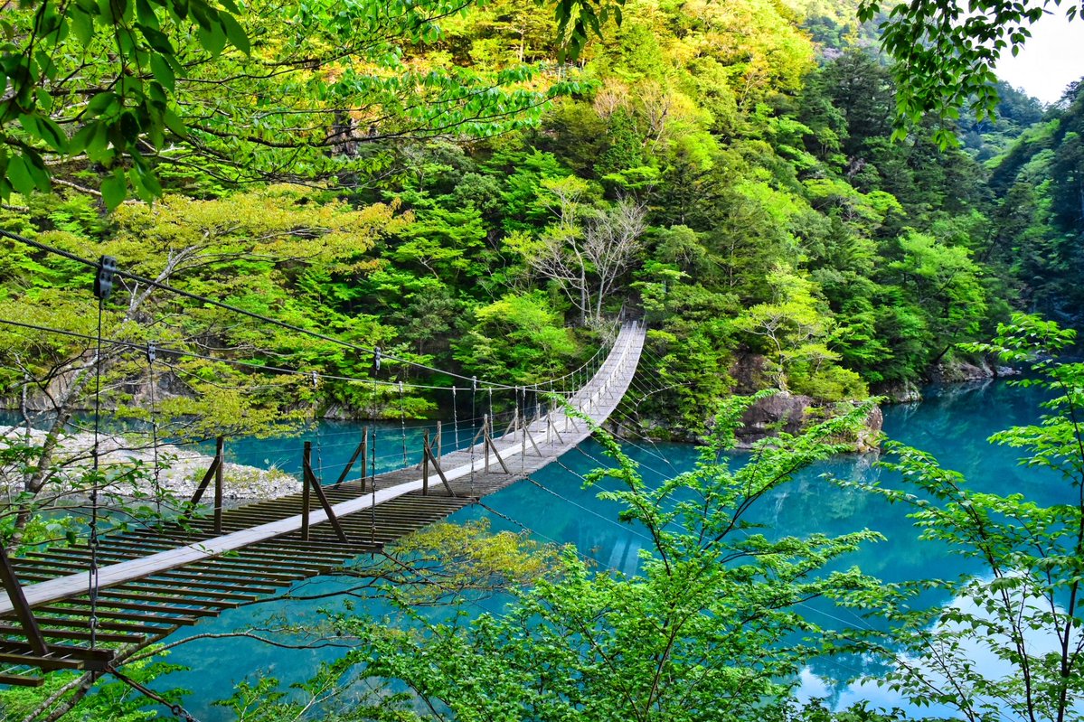 Stargate_2050's tweet photo. Sumatakyo, Shizuoka 寸又峡 静岡県
"Yume no Tsuribashi" (The Dream Suspension Bridge) spanning the turquoise waters. https://t.co/UdopEesUhS