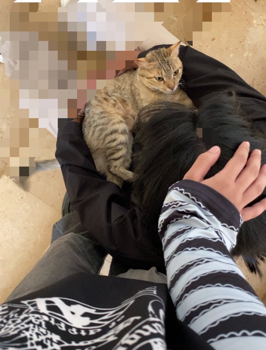 107TL0's tweet photo. مياو https://t.co/48bBE5jVM3