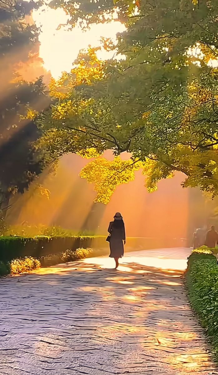 SamuelJenkmlpf's tweet photo. Autumn breeze carries the scent of osmanthus, perfect for a cozy afternoon walk.， https://t.co/OrkFcGjS9r