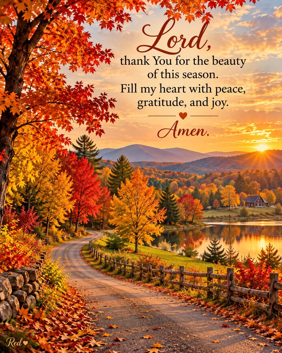 PATRIOT2117's tweet photo. Y’all, this is my favorite time of year! All my favorite things lie ahead… Have a beautiful day, my sweet friends! https://t.co/47m4r64L7i
