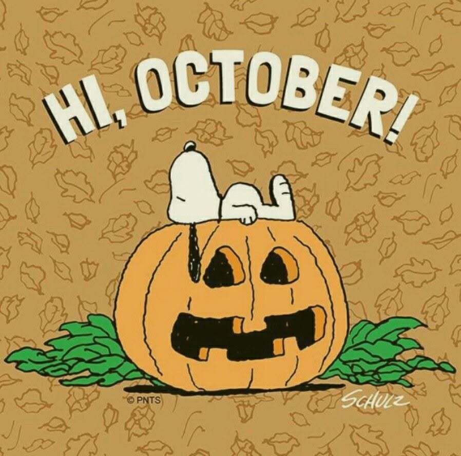 CampersCoveWH's tweet photo. October arrives...🌾 🍁 #camping #autumn https://t.co/OyQgNtu1om