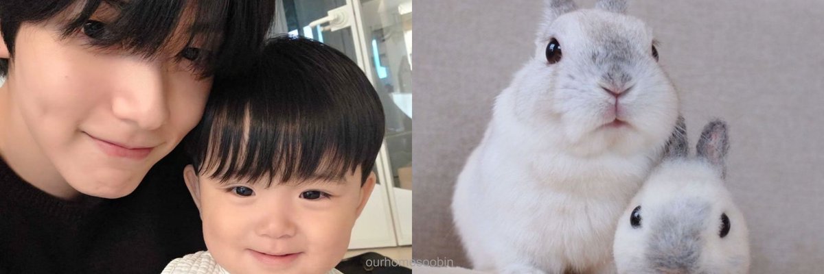 ourhomesoobin's tweet photo. ‧˚꒰꒰🐰 ୭˚. ᵎᵎ https://t.co/93wFn8kKKZ