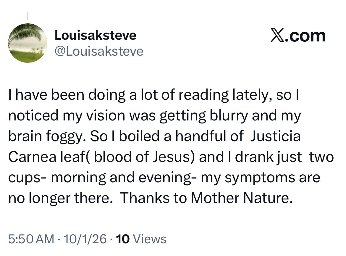 HerbalistChief's tweet photo. Blurry vision and foggy brain healed successfully. 

Nature heals. https://t.co/IZ04HYVpC1