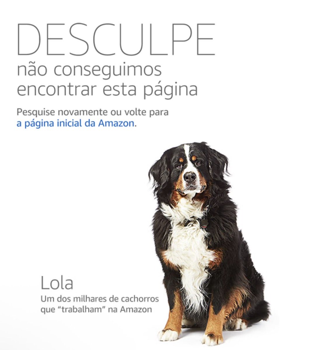 Snk_Skn's tweet photo. @AmazonHelp https://t.co/t19IPNuNbK