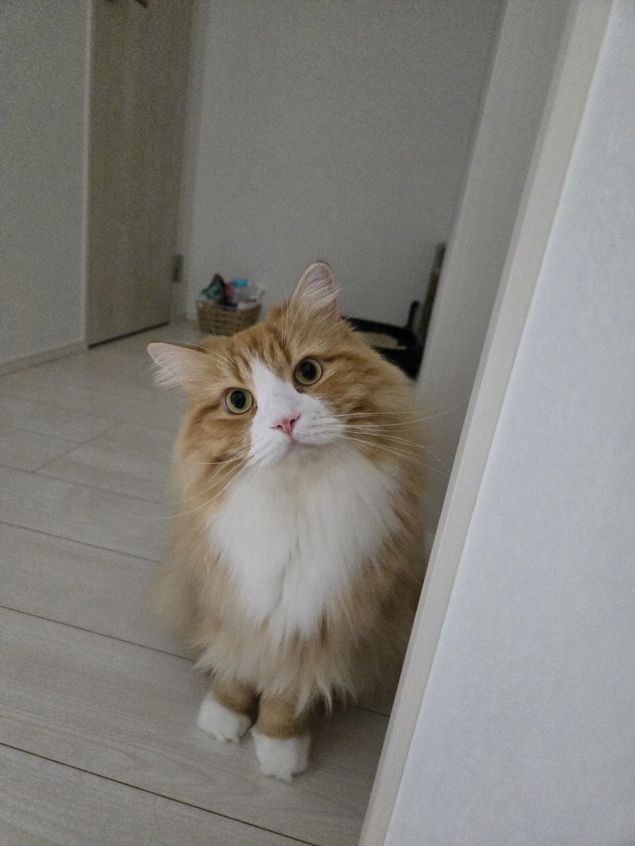 YingliMonaca's tweet photo. https://t.co/u12jZuoUfV