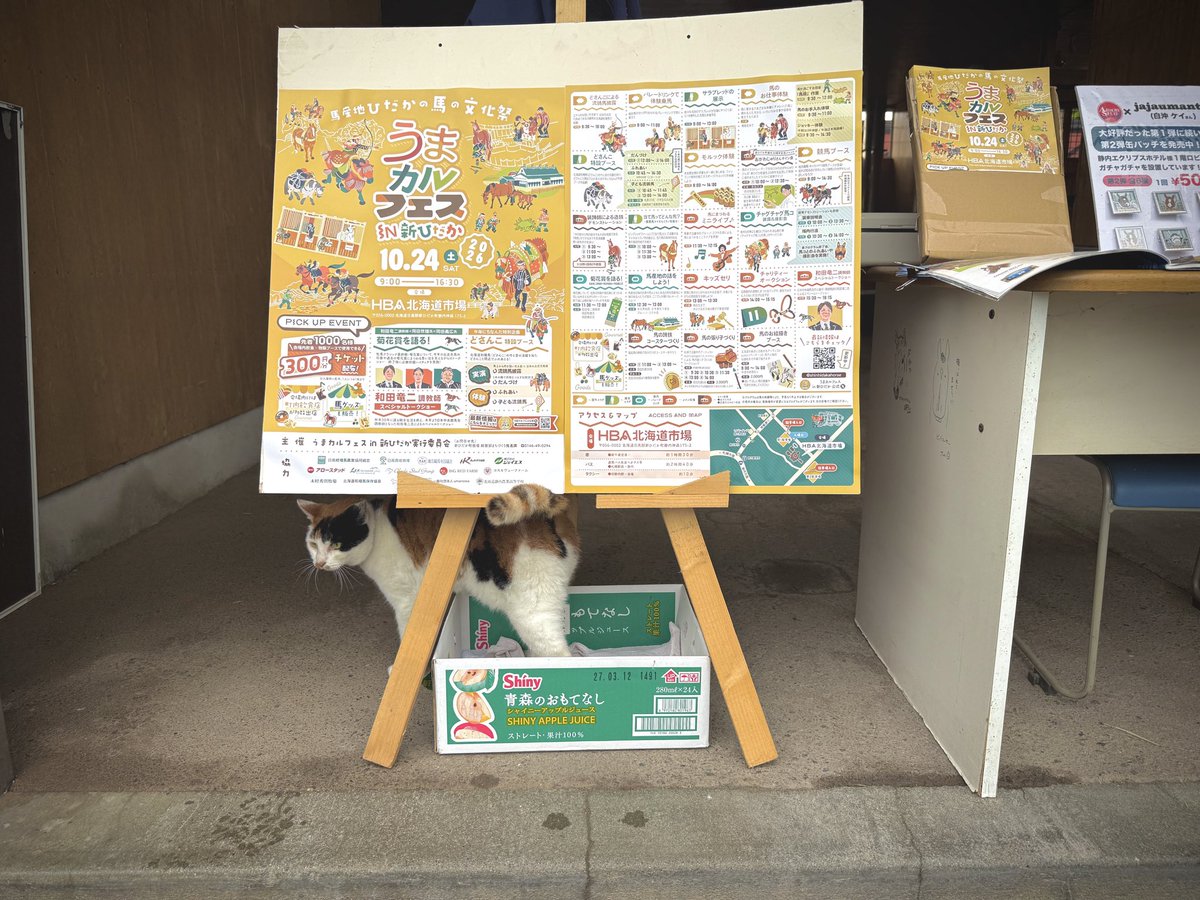 shinhidakahorse's tweet photo. いよいよ10月にっ🐴🍂

うまカルフェスまで1ヶ月を切りました。スケジュール調整はお済みでしょうか？

現在日高管内にポスター・チラシが設置されております。

今年もアロースタッドさまが、素敵に飾ってくださいました！
毎年PRにご協力いただいている「アロー猫」たちに感謝いたします🐱🐱🐱 https://t.co/k7yhWTsi1Z