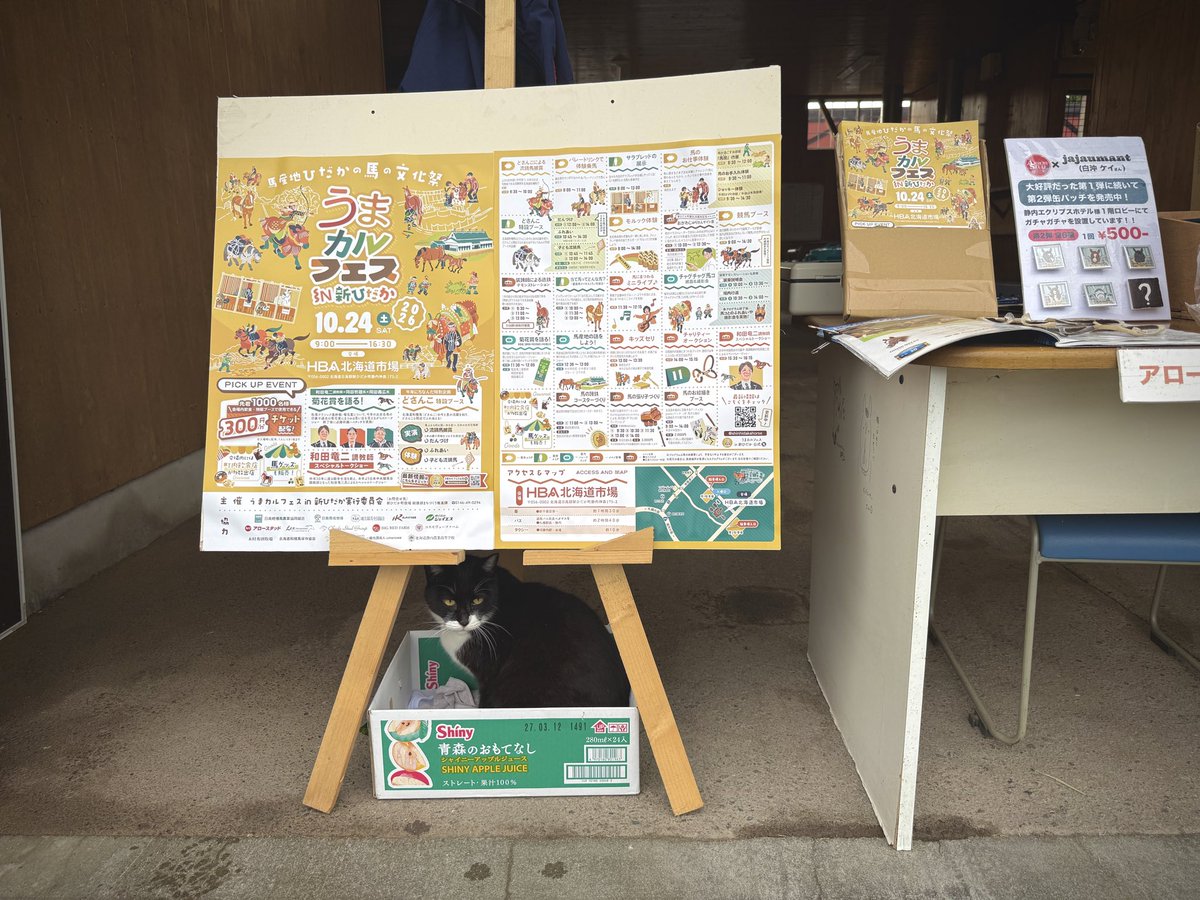 shinhidakahorse's tweet photo. いよいよ10月にっ🐴🍂

うまカルフェスまで1ヶ月を切りました。スケジュール調整はお済みでしょうか？

現在日高管内にポスター・チラシが設置されております。

今年もアロースタッドさまが、素敵に飾ってくださいました！
毎年PRにご協力いただいている「アロー猫」たちに感謝いたします🐱🐱🐱 https://t.co/k7yhWTsi1Z