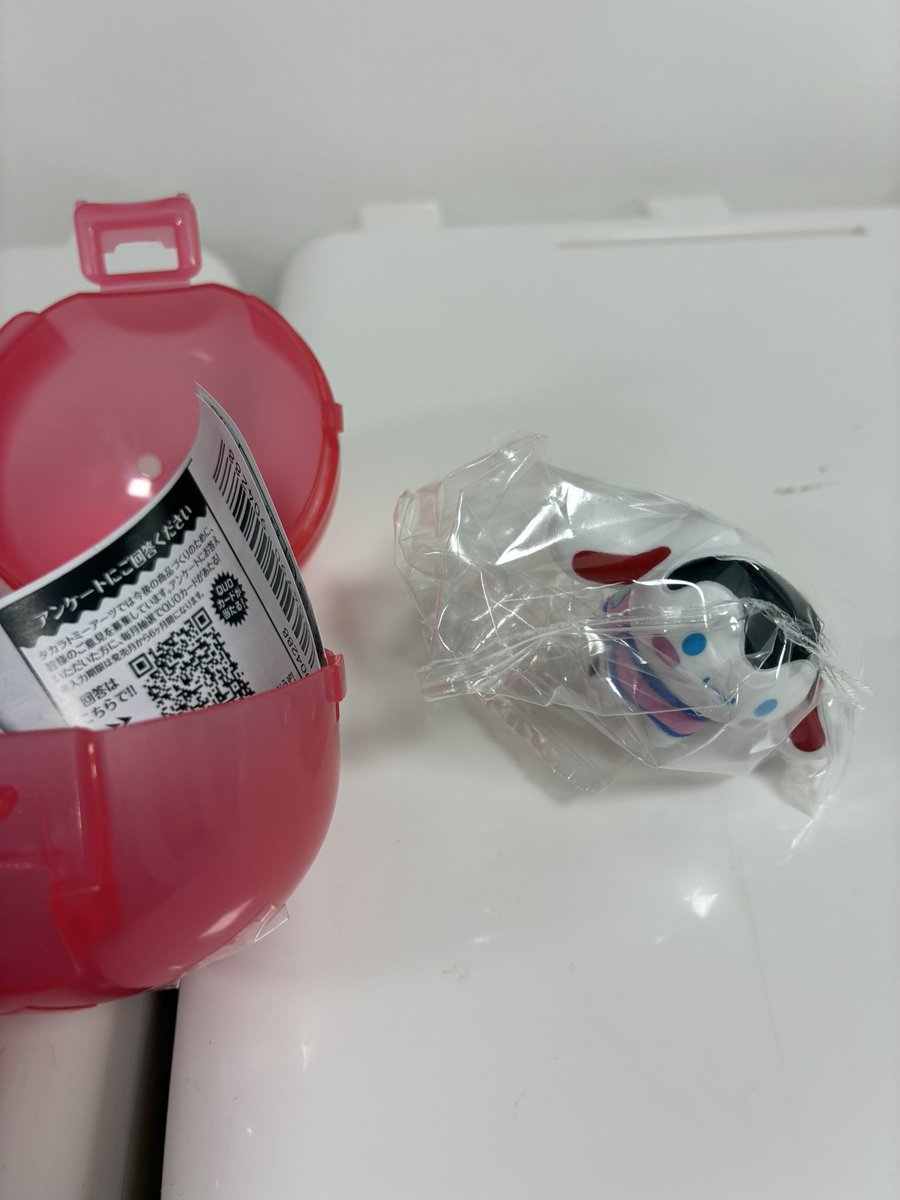 mamutyo's tweet photo. 和んこフィギュア

【譲】シナモロール

【求】ポチャッコ

都内手渡し、もしくは郵送にて交換可能な方いらっしゃいましたら検索からでもお気軽にお声がけください。

#ガチャ
#カプセルトイ
#サンリオ https://t.co/C9c5zTcFGx