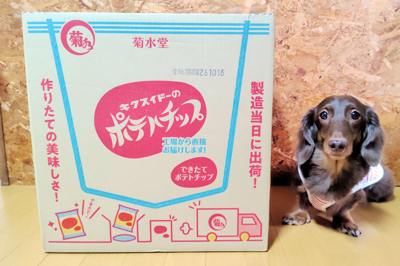 TOMOBITE_SITE's tweet photo. @kikusui_do 昨日届きました～✨📦️
久しぶりにいただきましたが、やっぱり安定のおいしさでした🥔🤤
(愛犬も大箱に興味津々💖🐶) https://t.co/khXYhdmNjT